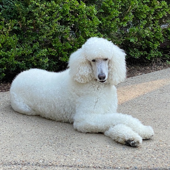 Just me - Picture 13 of 15